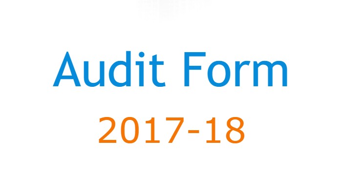 Audit-2018